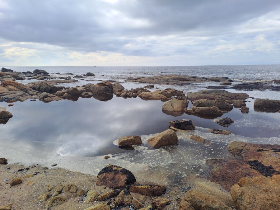 Commercial Property for Sale in St Helena Views Western Cape